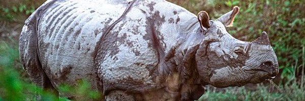 ComConsInc Profile Banner