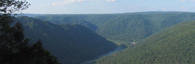 Dawn Allen banner