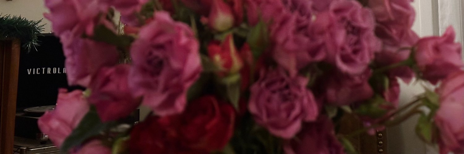 oliveandfern's profile banner image
