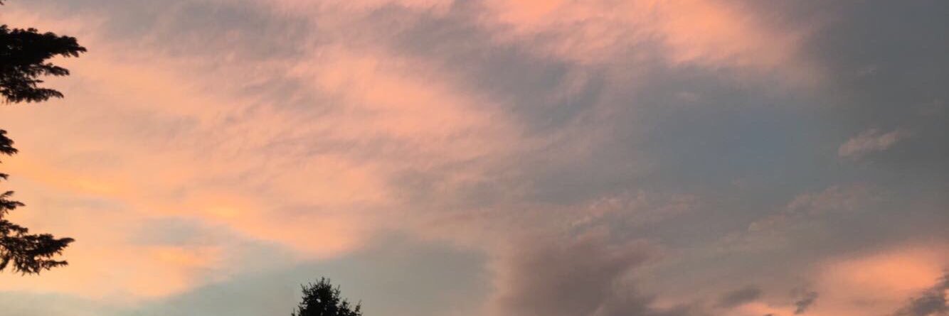 PINTOLVR7's profile banner image