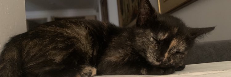 franco_nastaro's profile banner image