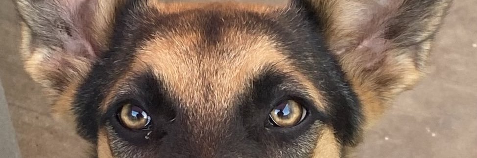 yaneemg's profile banner image