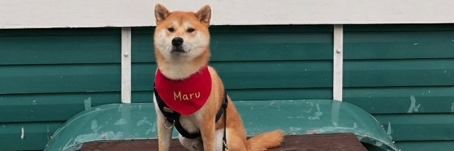 MaruDiary_'s profile banner image