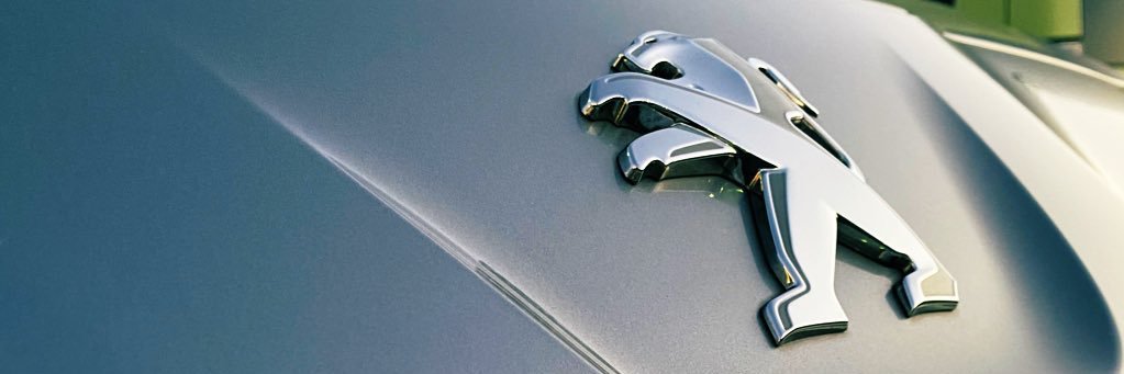 Ryosuke Tadakuma banner