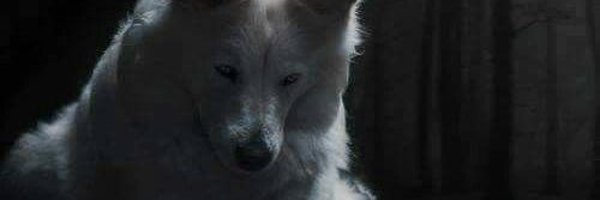 gotblo Profile Banner