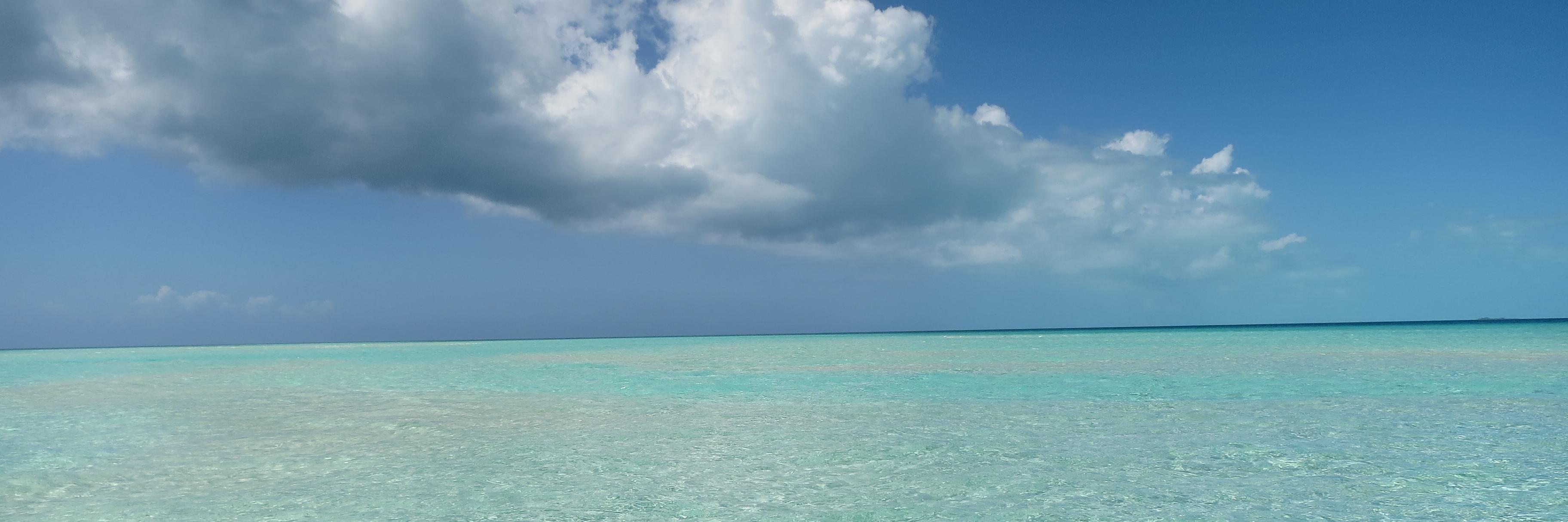 craigevans's profile banner image
