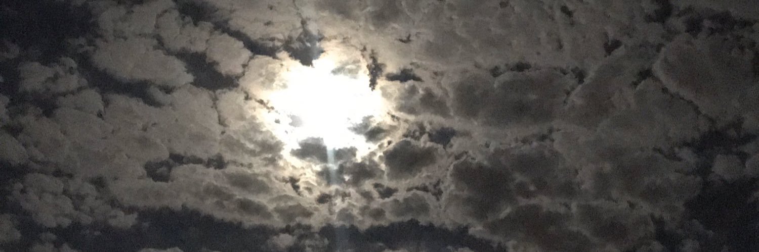 𝚂𝚊𝚎𝚎𝚍🇴🇲 banner