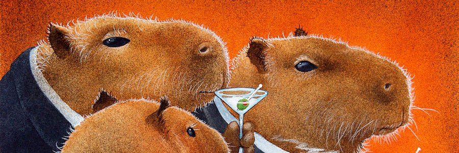 SummerBummerNFT's profile banner image