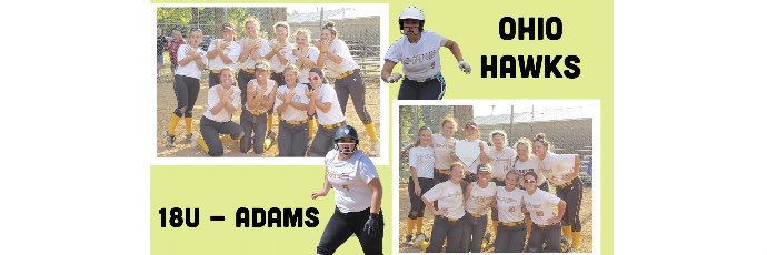 Ohio Hawks 18u - Adams banner