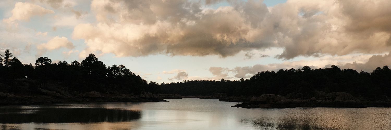 martdosto's profile banner image
