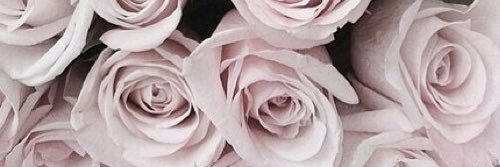 ⑅ mei chan ♡⑅ banner