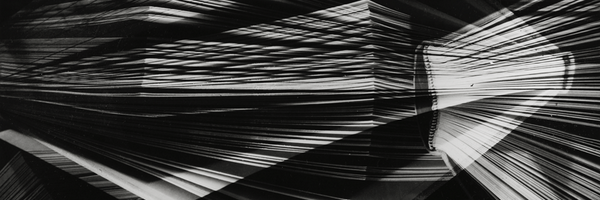 Ellafontanals Profile Banner