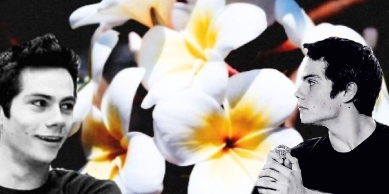 charmingdylan's profile banner image