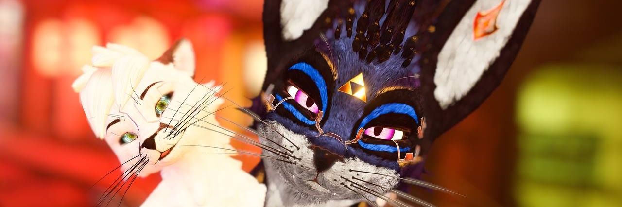 Tokifox's profile banner image