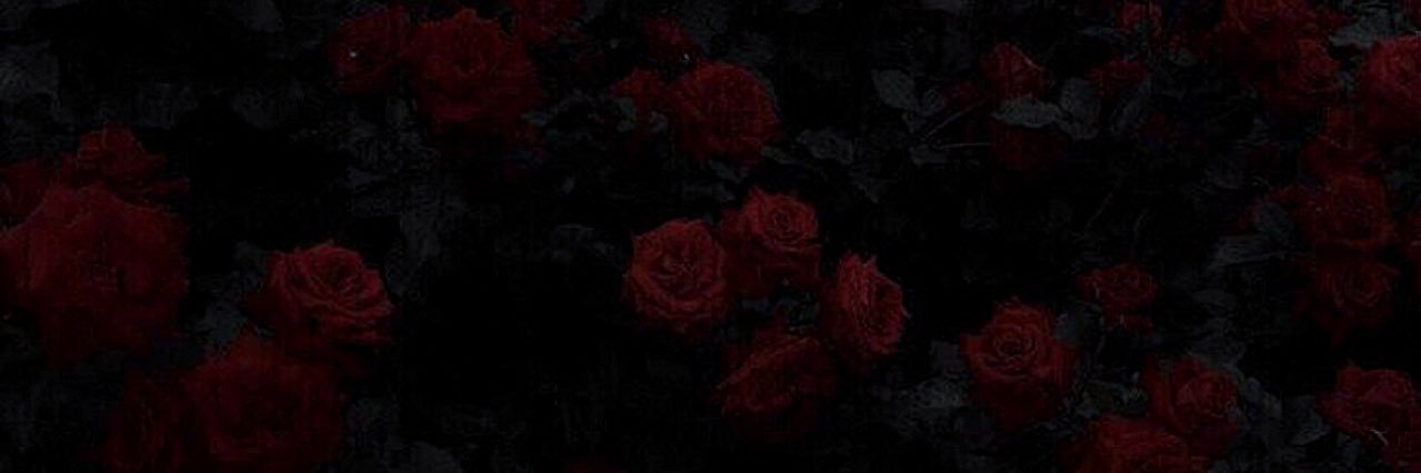 nekko_punch's profile banner image