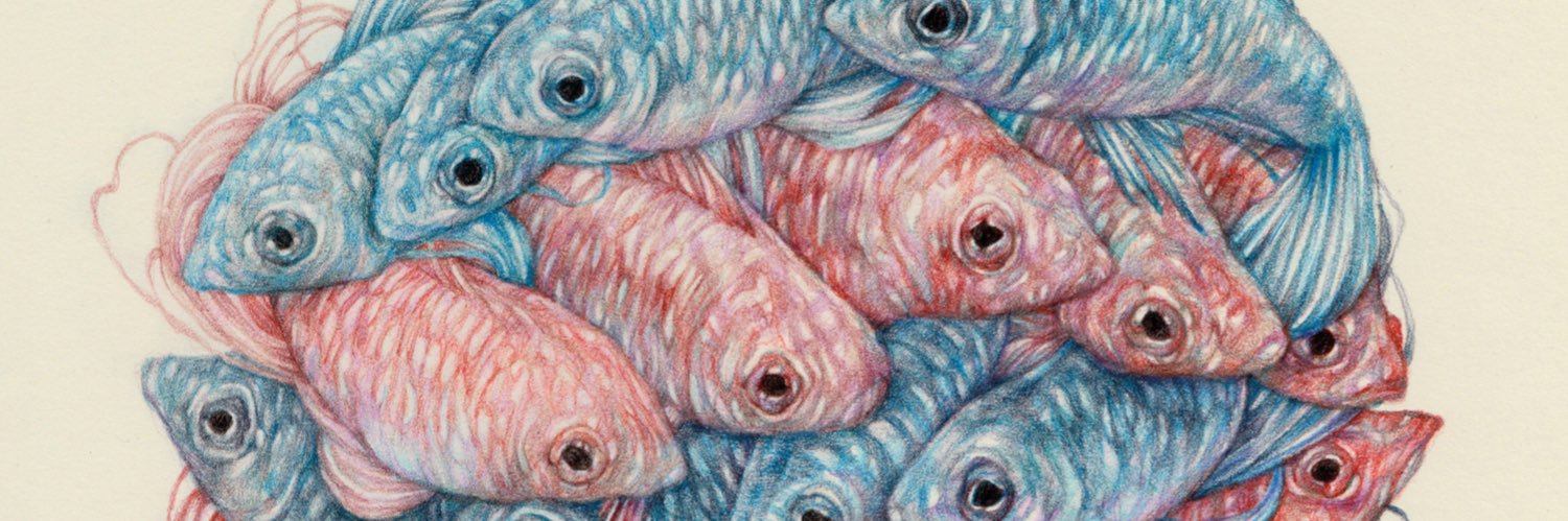 Marco Mazzoni banner