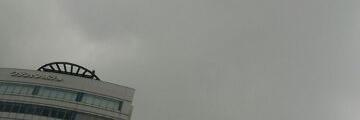 kid_shelted's profile banner image