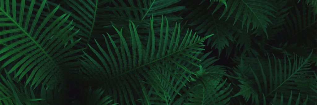 AziziNazrul's profile banner image