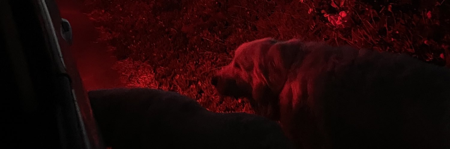 imgoingtoeavan's profile banner image