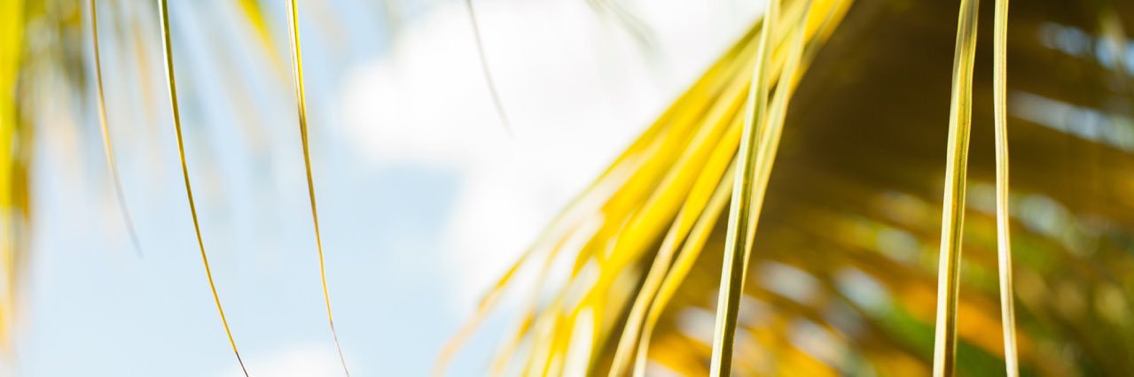 schoencreative's profile banner image