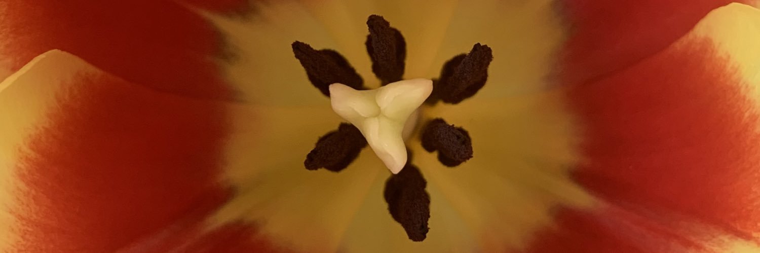 KatherineEpsom's profile banner image