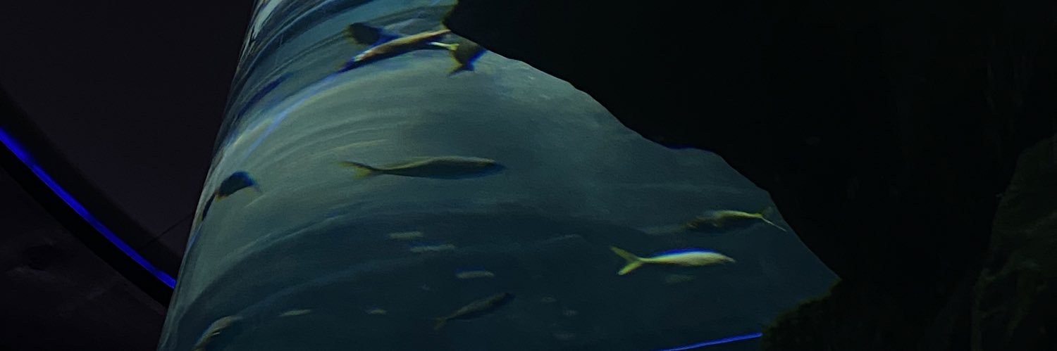 pksparn's profile banner image