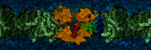 lewischewis Profile Banner