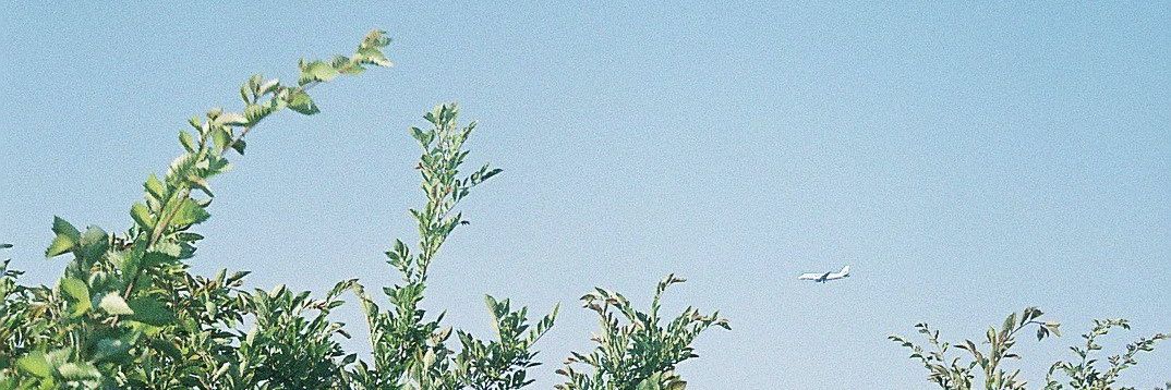 sfrsf__'s profile banner image