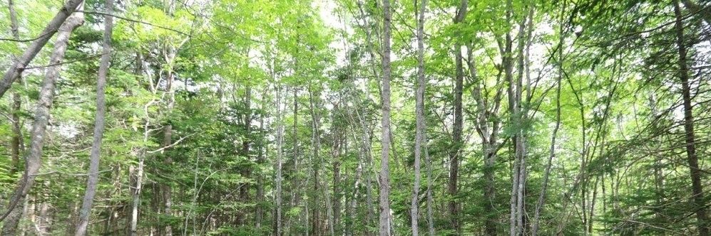 Homesteading Canada banner