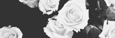 Xime_DLS's profile banner image