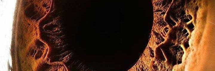 DongoDungu's profile banner image