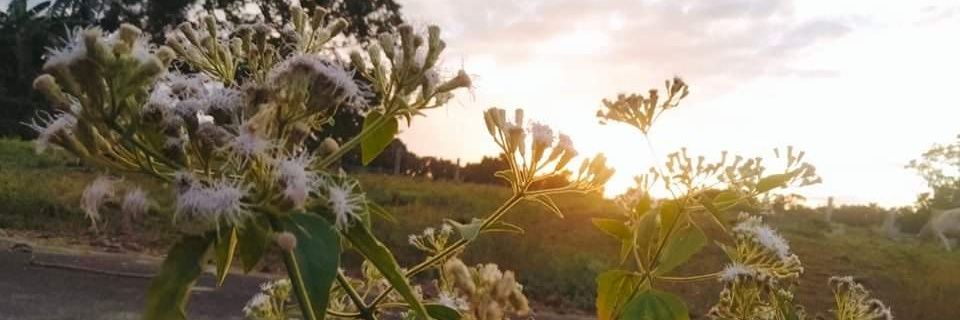 _STANBINI's profile banner image