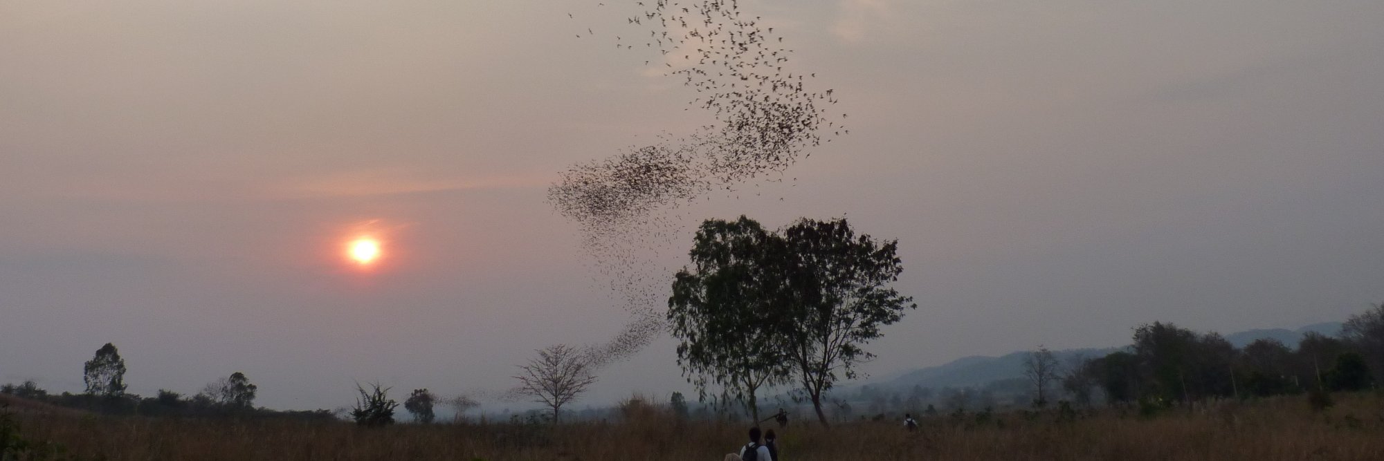 L'homme de la pampa banner