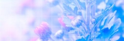 ♔ ＥＭＰＥＲＯＲ . 𝐇𝐈𝐀𝐓𝐔𝐒 banner