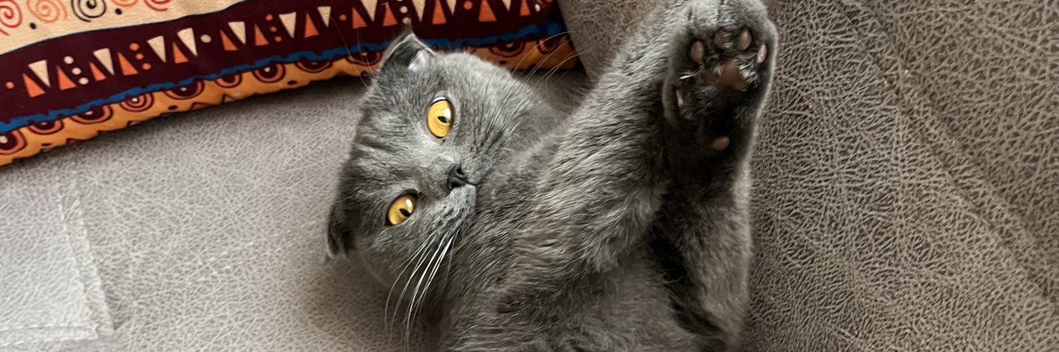 𝐄𝐛𝐫𝐮 banner