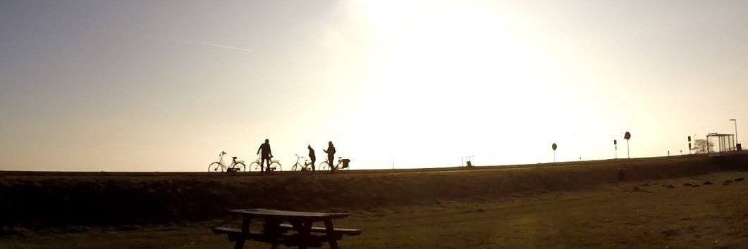 David Halliday banner