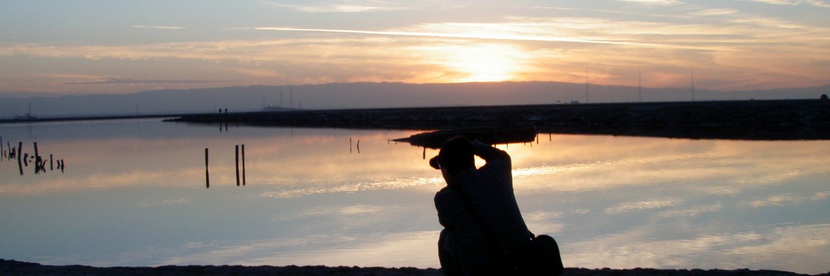 alc8's profile banner image