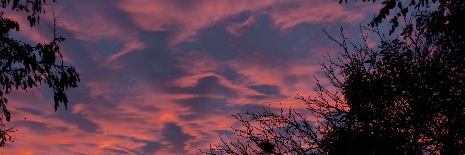 ggisimid's profile banner image