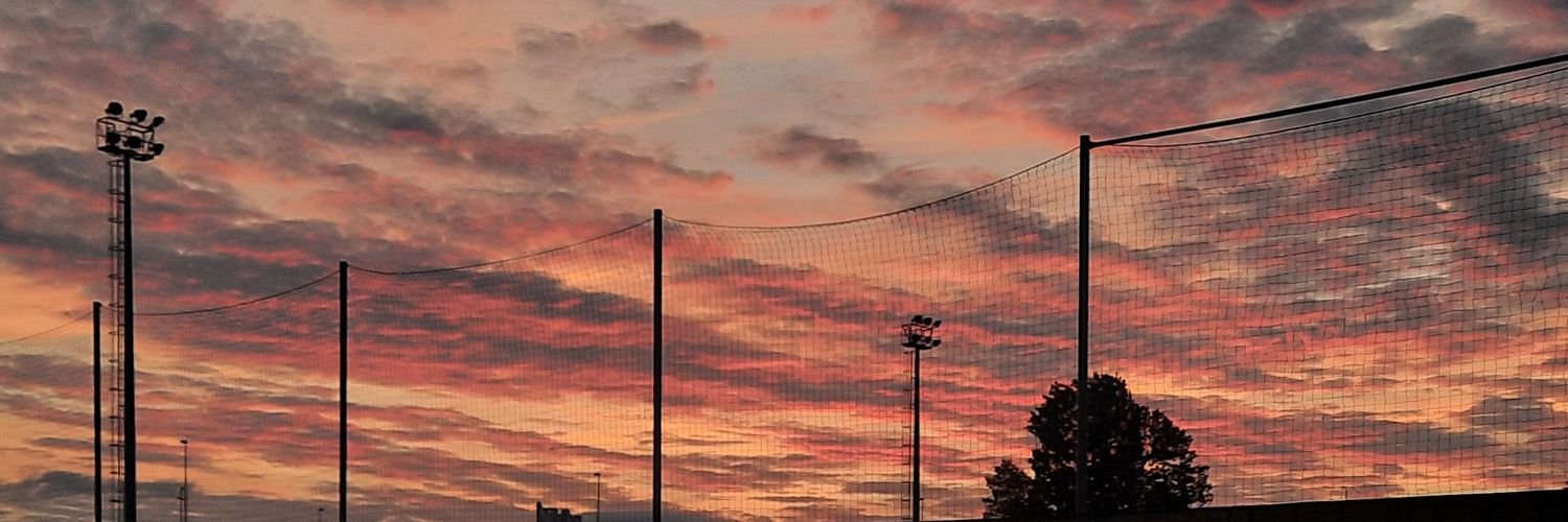 Paula Soto banner