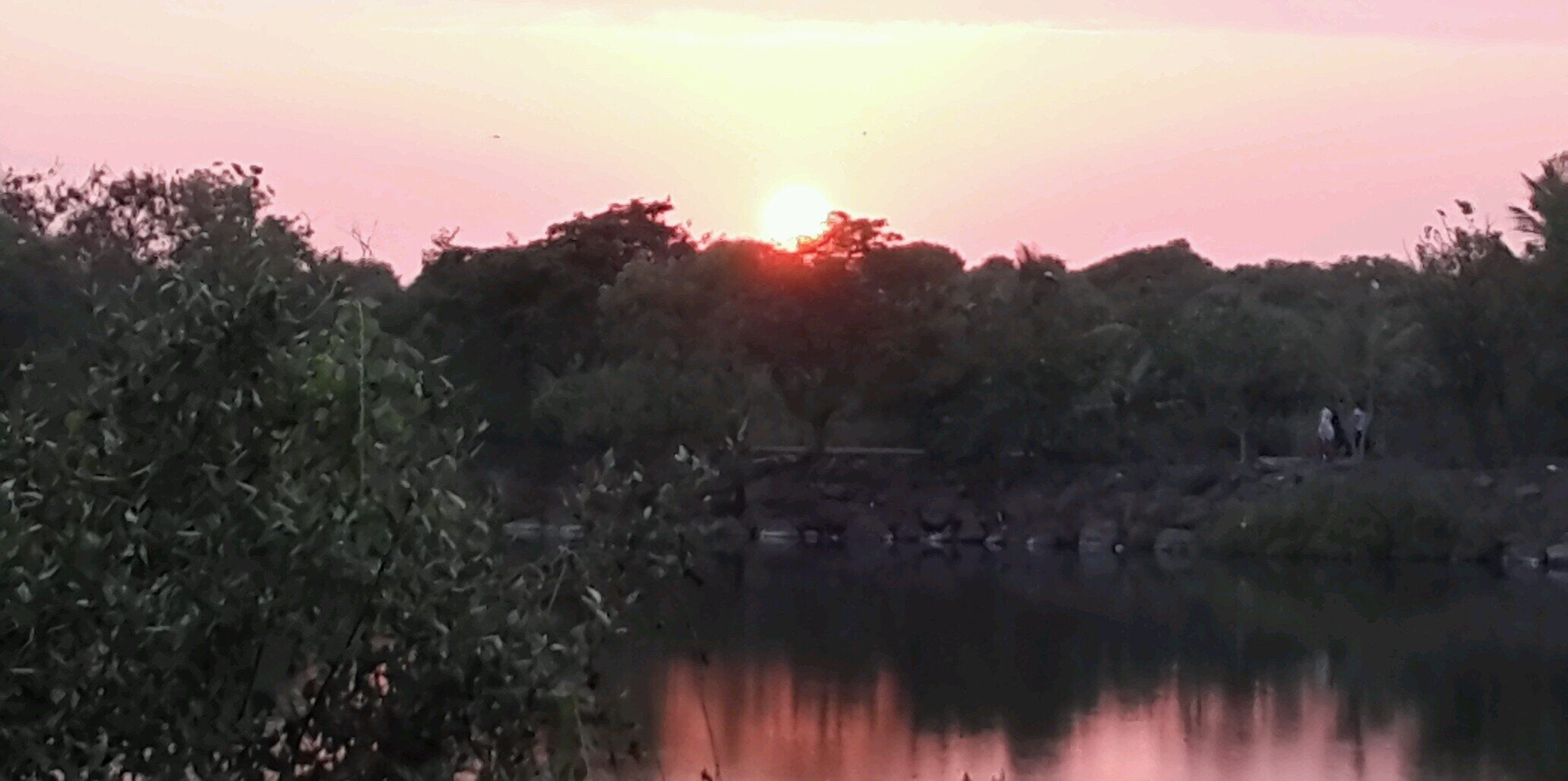 avi_1610's profile banner image