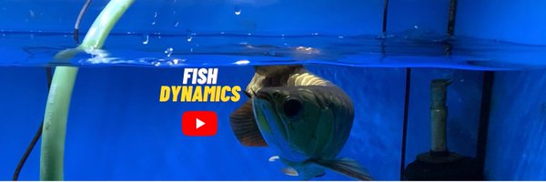 Fish Dynamics Profile Banner