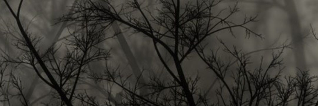 Rodi🍁 banner