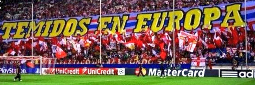 elputochen's profile banner image