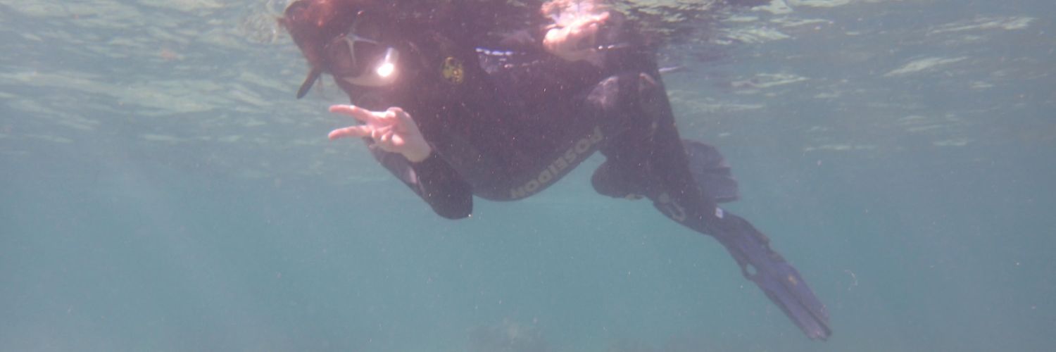 hzllvlnc's profile banner image