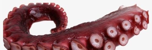 Monsterfucker13's profile banner image