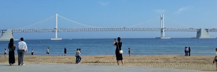 오리나무 banner