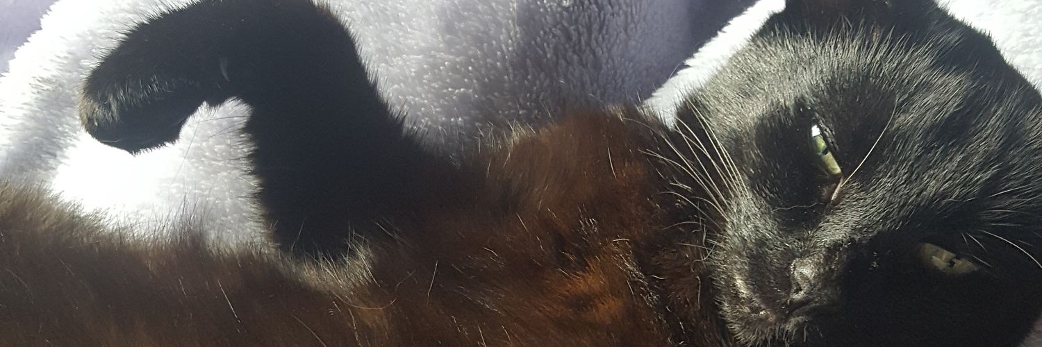 ZoeSpence92's profile banner image