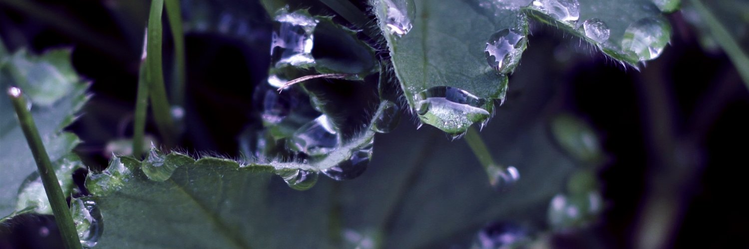 Veronika Pauková banner