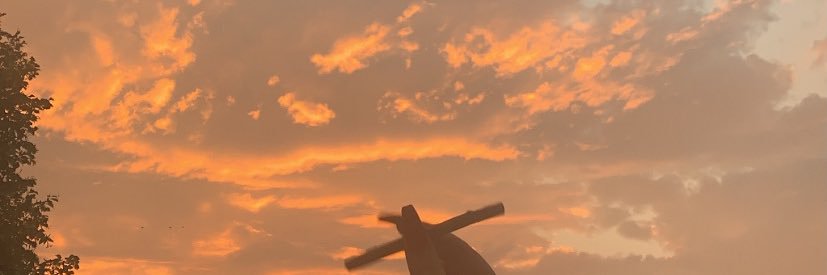 emaleejo's profile banner image