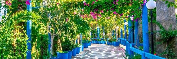 LearnerProgress Profile Banner